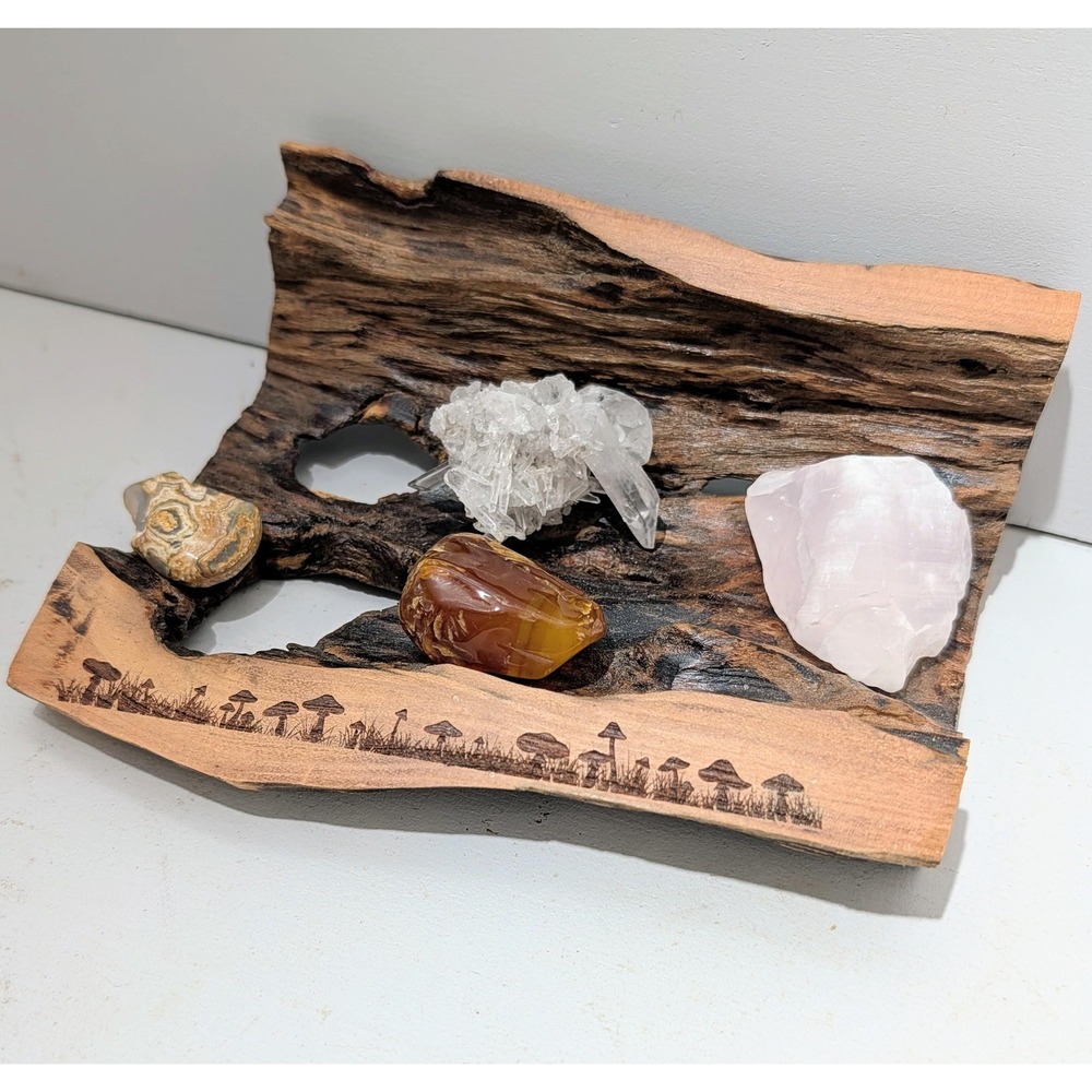 Black Locust Hollow Root Fairy garden crystal Display engraved Mushroom graphic